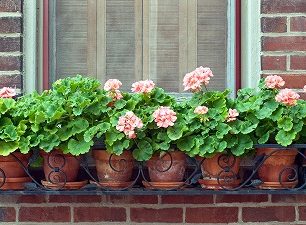 wrought-iron-flower-box-